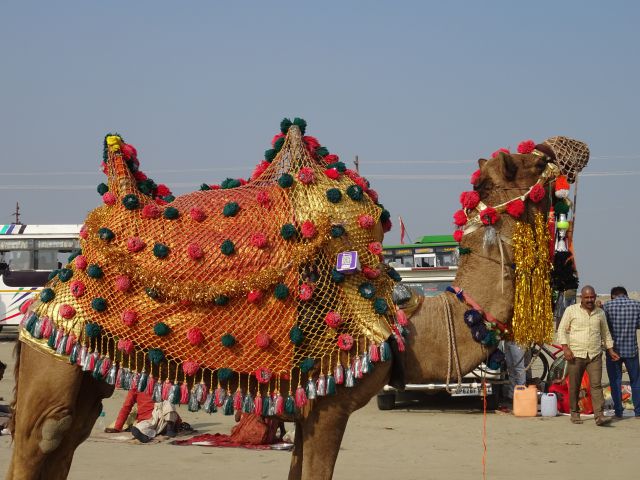Allahabad